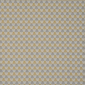 Force Field # 3040 Corona by Maxwell Fabric