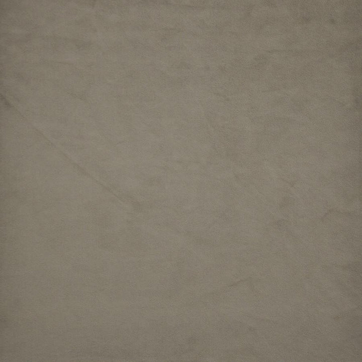 Firenze # 515 Smoke by Maxwell Fabric Performance Velvets-Vol.Ii 100% POLYESTER TURKEY 55" - Fabric Carolina -