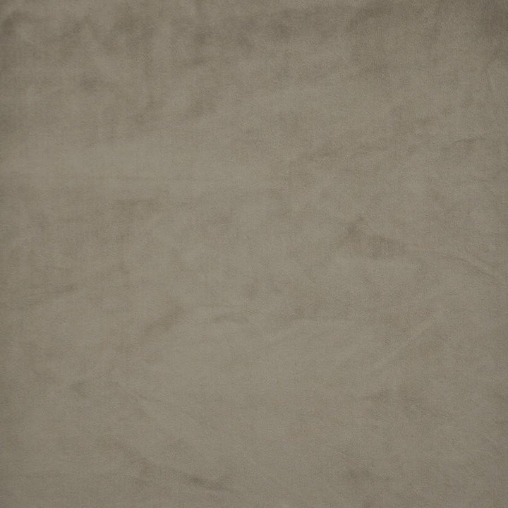 Firenze # 517 Chinchilla by Maxwell Fabric Performance Velvets-Vol.Ii 100% POLYESTER TURKEY 55" - Fabric Carolina -
