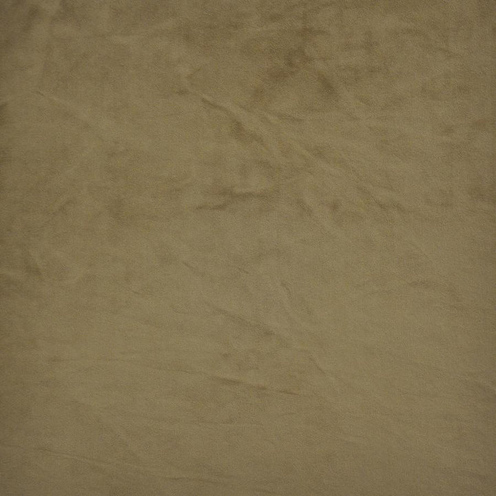 Firenze # 519 Umber by Maxwell Fabric Performance Velvets-Vol.Ii 100% POLYESTER TURKEY 55" - Fabric Carolina -
