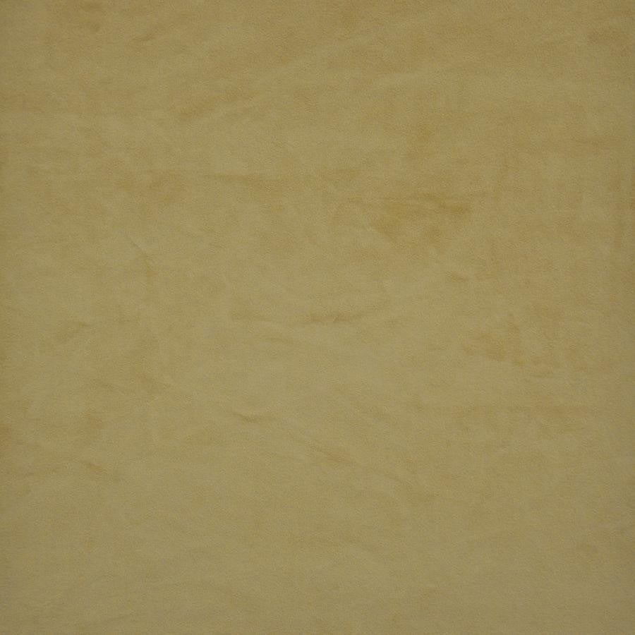 Firenze # 520 Butterscotch by Maxwell Fabric Performance Velvets-Vol.Ii 100% POLYESTER TURKEY 55" - Fabric Carolina -