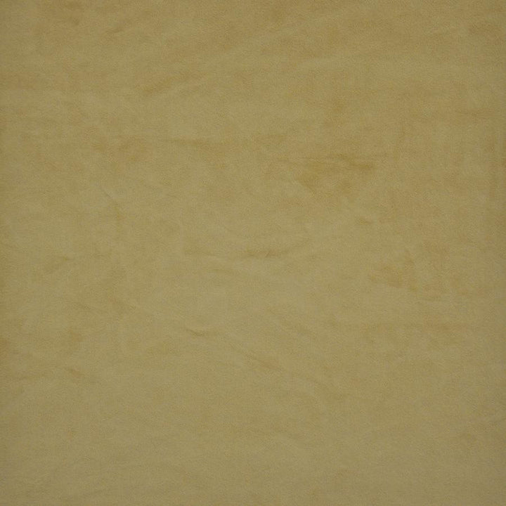 Firenze # 520 Butterscotch by Maxwell Fabric Performance Velvets-Vol.Ii 100% POLYESTER TURKEY 55" - Fabric Carolina -