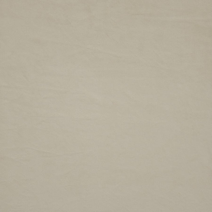 Firenze # 522 Ecru by Maxwell Fabric Performance Velvets-Vol.Ii 100% POLYESTER TURKEY 55" - Fabric Carolina -