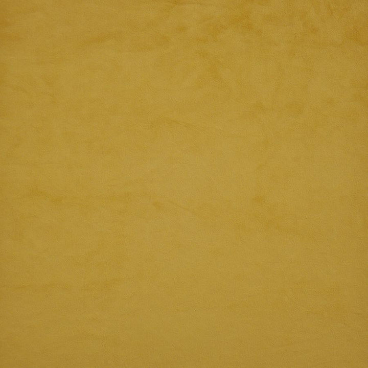 Firenze # 535 Honey Bee by Maxwell Designer Fabric Performance Velvets-Vol.Ii 100% POLYESTER TURKEY 55" - Swanky Fabrics -