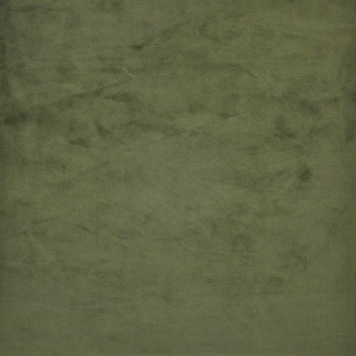Firenze # 538 Sage by Maxwell Fabric Performance Velvets-Vol.Ii 100% POLYESTER TURKEY 55" - Fabric Carolina -