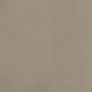 Flash Buckskin by Norbar Fabric See Sample 100% POLYESTER CHINA 102,000 DOUBLE RUBS 54 - Fabric Carolina -