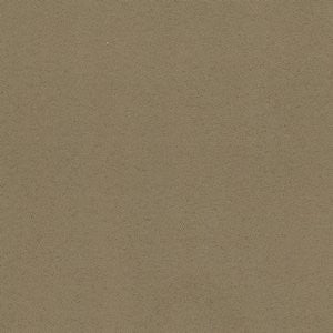 Flash Camel by Norbar Fabric Color/BROWN-TAN 100% POLYESTER CHINA 102,000 DOUBLE RUBS 54 - Fabric Carolina -