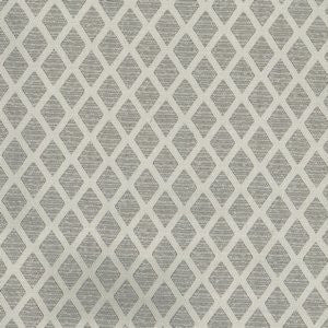Flyer Silver by Norbar Fabric See Sample 78% POLYESTER 22% VISCOSE INDIA 9,000 WYZENBEEK 7/8"V 7/8"H 53 - Fabric Carolina -