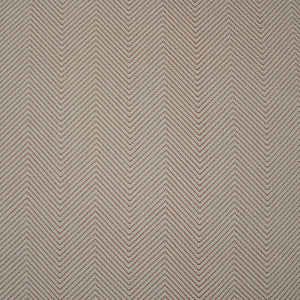 Fast Forward # 246 Raspberry by Maxwell Fabric