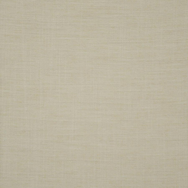 Fielder-Ess # 02 Eggshell by Maxwell Fabric Drapery Essentials-Natural 100% POLYESTER INDIA 54" - Fabric Carolina -