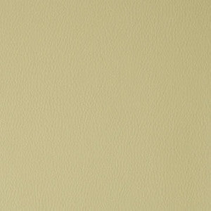 Flexa # 105 Sprout by Maxwell Fabric