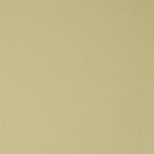 Flexa # 105 Sprout by Maxwell Fabric
