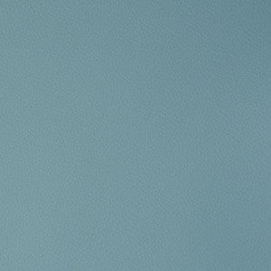 Flexa # 132 Surfer by Maxwell Fabric