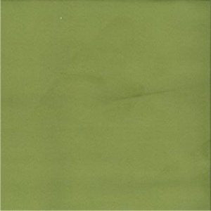 Foley Kiwi by Norbar Fabric See Sample 100% POLYESTER CHINA - </p><p>Repeat: Horizontal: - and Vertical: - 54" - Fabric Carolina -