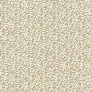 Foliate 110 Taupe by Kasmir Fabric