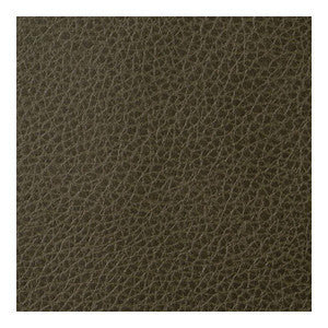 Foothill Tortoise FOOTHILL.33.0 by Kravet Contract Fabric
