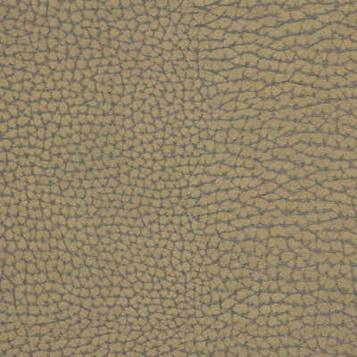 Forgetful Stone by Kravet Couture Fabric Kravet Couture Fabric Forgetful StoneFabric NYLON - 100% Japan </p><p>Repeat: H: 0, V: 0 54 - Fabric Carolina -