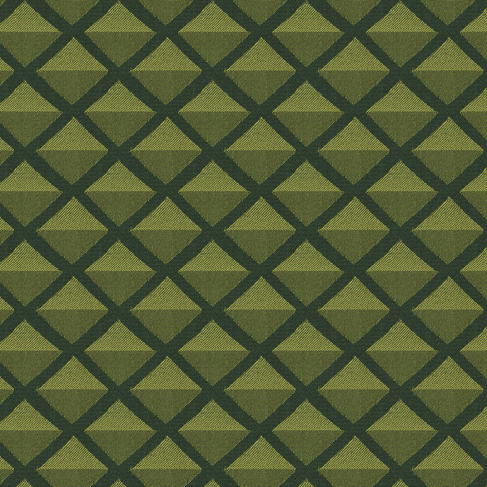 Fortress 27 Olive by Endurepel Fabric 100% Polyester China 160,000 Double Rubs (Wyzenbeek) </p><p>Repeat: Horizontal: 1.7" (4.2 cm) Up the Roll and Vertical: 1.9" (4.8 cm) Across the Roll 55" (140 cm) - Fabric Carolina -