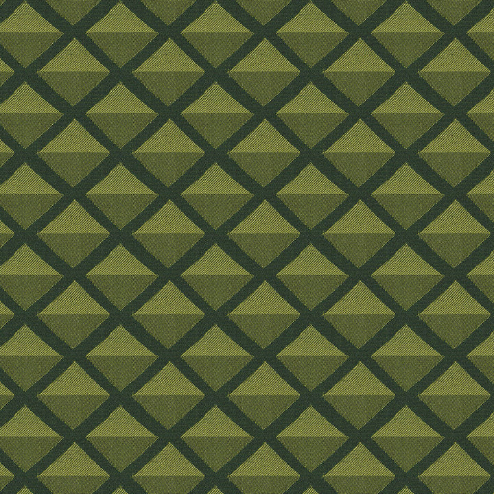 Fortress 27 Olive by Endurepel Fabric 100% Polyester China 160,000 Double Rubs (Wyzenbeek) </p><p>Repeat: Horizontal: 1.7" (4.2 cm) Up the Roll and Vertical: 1.9" (4.8 cm) Across the Roll 55" (140 cm) - Fabric Carolina -