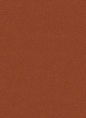 Fortune-24 by Kravet Design Fabric - NYTEK - 100% Japan LIGHT Horizontal: 0 and Vertical: 0 54 - Fabric Carolina -