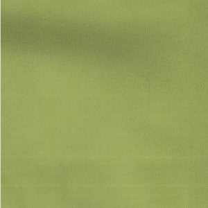 Fortune Lime by Norbar Fabric PRISM PEACOCK 100% POLYESTER CHINA 12,000 WYZENBEEK 54" - Fabric Carolina -
