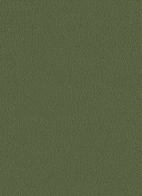 Fortune-30 by Kravet Design Fabric - NYTEK - 100% Japan LIGHT Horizontal: 0 and Vertical: 0 54 - Fabric Carolina -