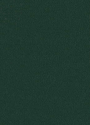 Fortune-3 by Kravet Design Fabric - NYTEK - 100% Japan LIGHT Horizontal: 0 and Vertical: 0 54 - Fabric Carolina -