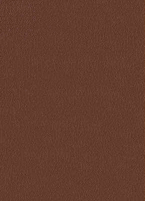 Fortune-6 by Kravet Design Fabric - NYTEK - 100% Japan LIGHT Horizontal: 0 and Vertical: 0 54 - Fabric Carolina -