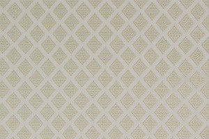 Foulard Ivory by Richloom Fabric