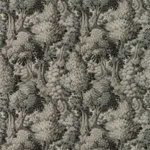 Kravet Basics Fourre-21 by Kravet Basics Fabric