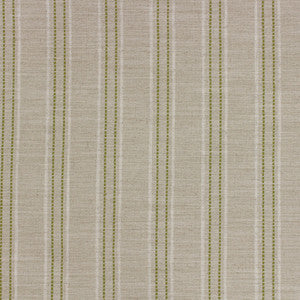 Fowler Kiwi by Richloom Fabric