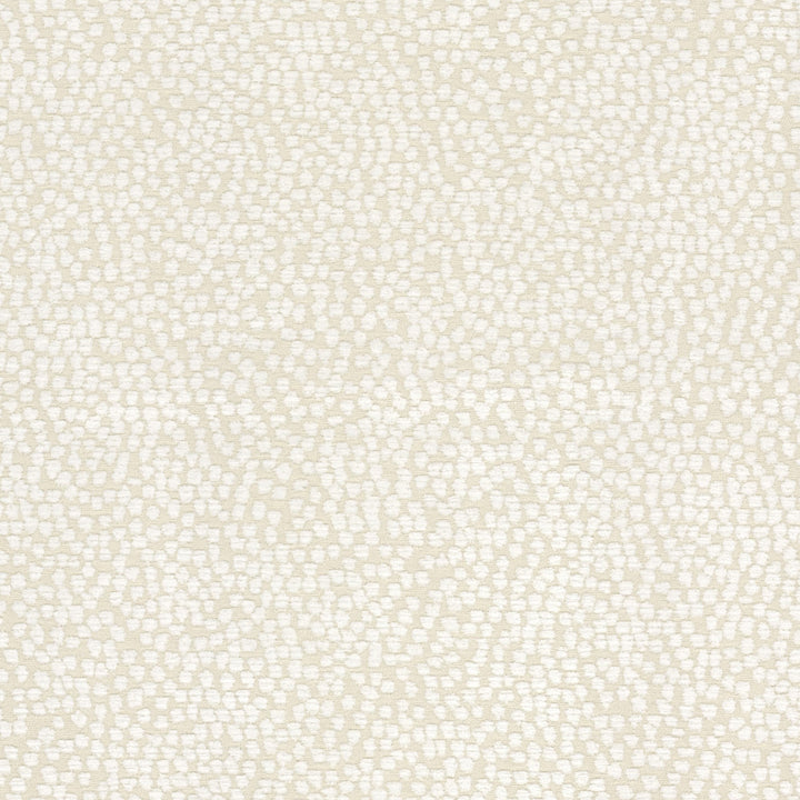 Foxtrot 2 Cream by Stout Fabric Stout Fabric Foxtrot 2 CreamFabric Living Is Easy Birch/Desert 100%Pol China </p><p>Repeat: H: 0, V: 0 54 in - Fabric Carolina -