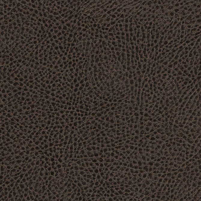 Fairbanks-Nj # 414 Cave by Maxwell Fabric Memos Only-Coated Fabrics FACE: 100% POLYURETHANE BACKING: 65% POLYESTER
35% COTTON CHINA 54" - Fabric Carolina -