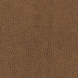 Fairbanks-Nj # 423 Trunk by Maxwell Fabric