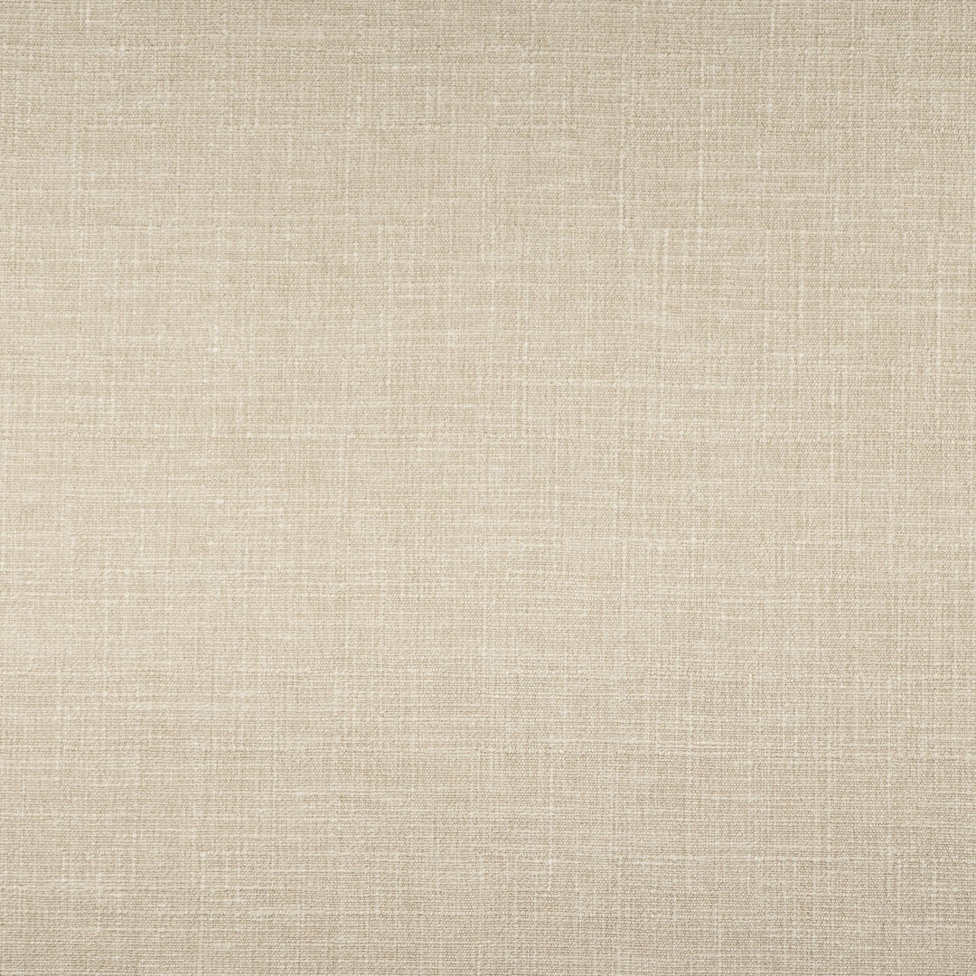 Finch # 417 Vellum by Maxwell Designer Fabric Color Theory-Vol. X Driftwood 86% POLYESTER 14% COTTON INDIA 56" - Swanky Fabrics -