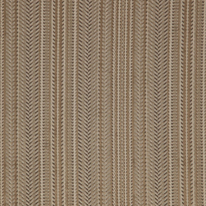 FRACK 33J7911 by JF Fabric Arcadia Fibreguard 80% Polyester, 18% Acrylic, 2% Viscose Turkey Horizontal: 0.25 and Vertical: 10.125 56 - Fabric Carolina -