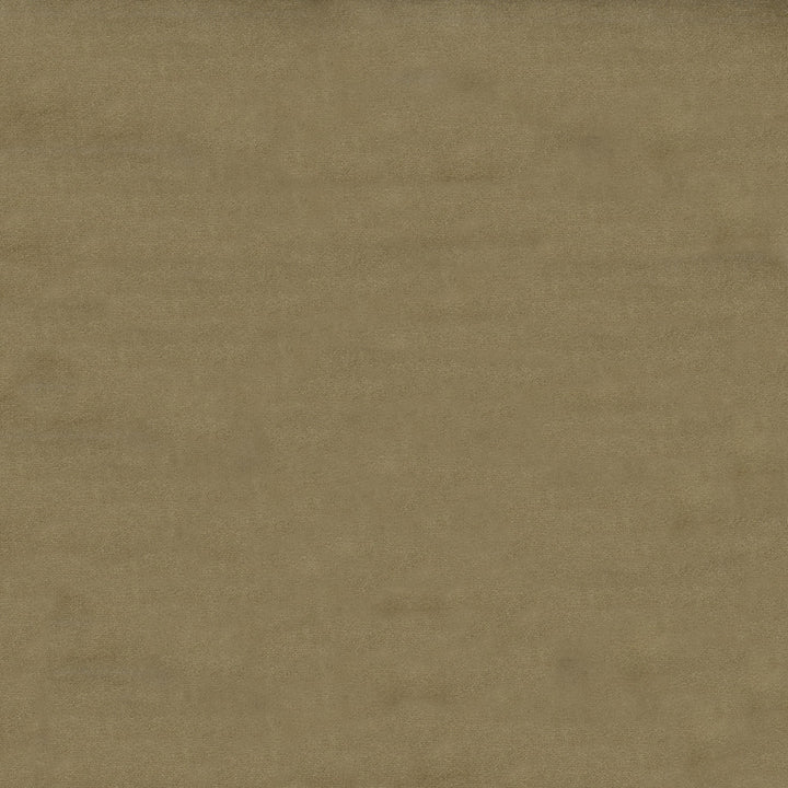 Benjamin 67 Fawn by ABBEYSHEA Fabric 100% Polyester China 235,000 Double Rubs (Wyzenbeek) </p><p>Repeat: Horizontal: and Vertical: 56" (142 cm) - Fabric Carolina -