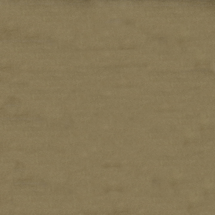 Benjamin 67 Fawn by ABBEYSHEA Designer Fabric N/A 100% Polyurethane (PU) China 72,000 Double Rubs </p><p>Repeat: Horizontal: and Vertical: 54" (137 cm) - Swanky Fabrics -