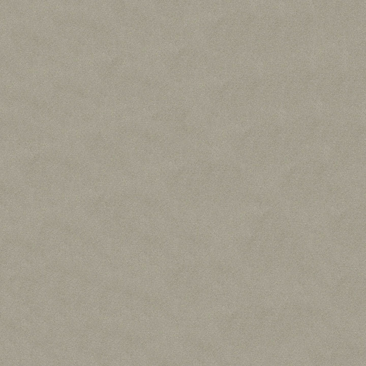 Benjamin 97 Cinder by ABBEYSHEA Fabric 100% Polyester China 235,000 Double Rubs (Wyzenbeek) </p><p>Repeat: Horizontal: and Vertical: 56" (142 cm) - Fabric Carolina -