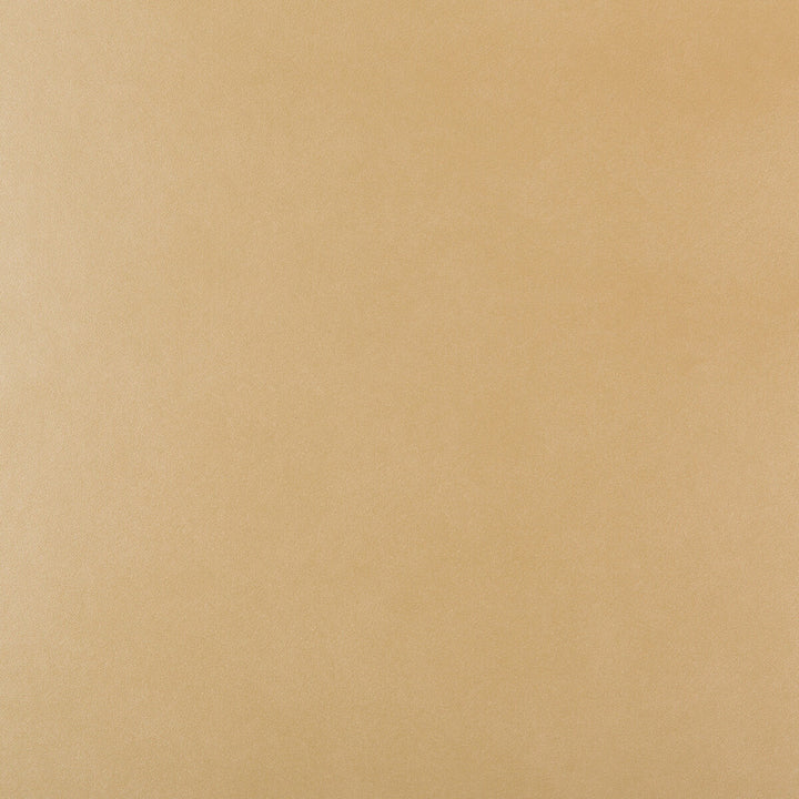 Frankel-16 by Kravet Design Fabric - POLY VINYL CHLORIDE - 100% Taiwan HEAVY Horizontal: - and Vertical: - 54 - Fabric Carolina -