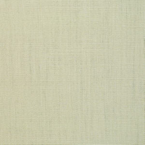 Frazzle Canvas by Norbar Fabric