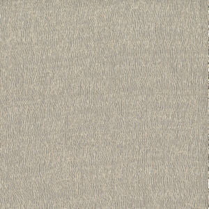 Freeport Pale Ale 16 by Norbar Fabric SHEER TRENDS 100% POLYESTER TURKEY 124" - Fabric Carolina -