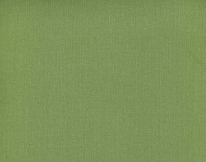 Frenzy Apple 337 by Norbar Fabric