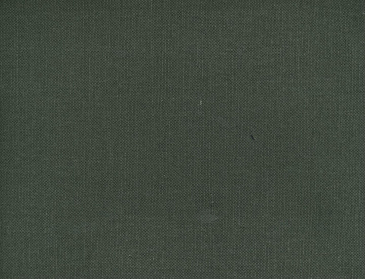Frenzy Ash 908 by Norbar Fabric FRENZY 60% COTTON 40% LINEN INDIA 54 - Fabric Carolina -