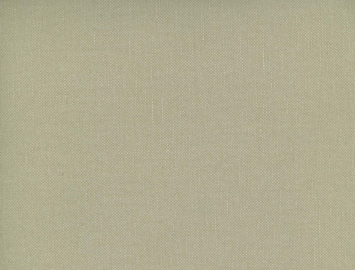 Frenzy Birch 864 by Norbar Fabric FRENZY 60% COTTON 40% LINEN INDIA 54 - Fabric Carolina -
