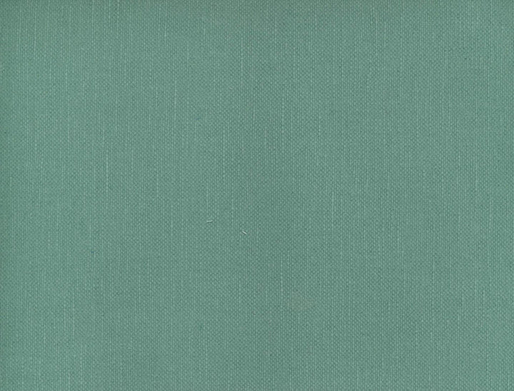 Frenzy Bottle Glass 469 by Norbar Fabric FRENZY 60% COTTON 40% LINEN INDIA 54 - Fabric Carolina -