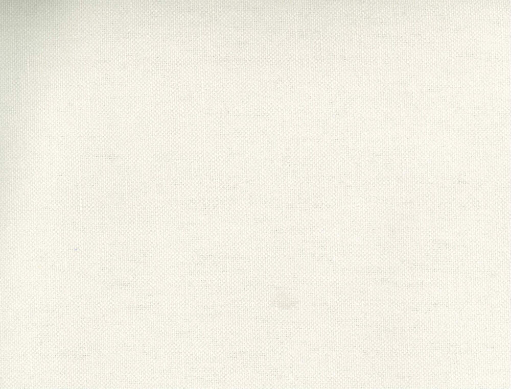 Frenzy Canvas 046 by Norbar Fabric FRENZY 60% COTTON 40% LINEN INDIA 54 - Fabric Carolina -