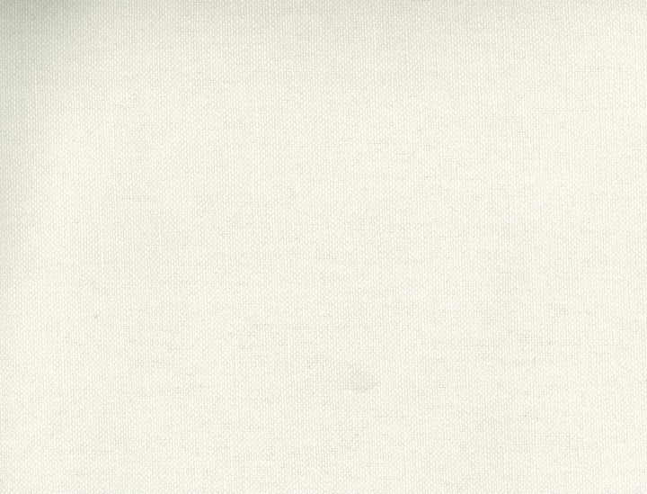 Frenzy Canvas 046 by Norbar Fabric FRENZY 60% COTTON 40% LINEN INDIA 54 - Fabric Carolina -