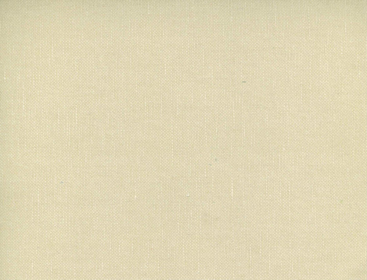 Frenzy Chamois 248 by Norbar Fabric FRENZY 60% COTTON 40% LINEN INDIA 54 - Fabric Carolina -