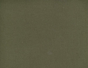 Frenzy Earth 867 by Norbar Fabric